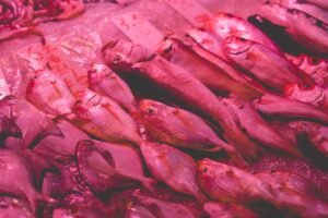 Photo Red meat